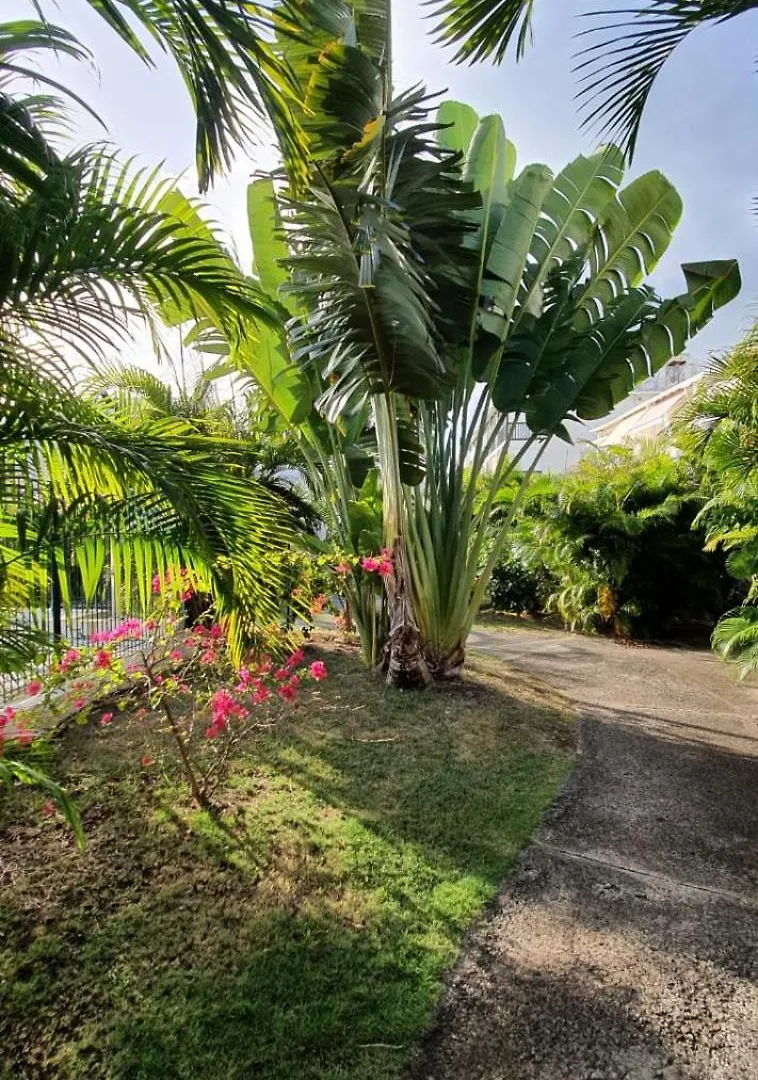 Appt Vanille Saint-Francois  0*, Saint-Francois (Grande-Terre) Guadeloupe